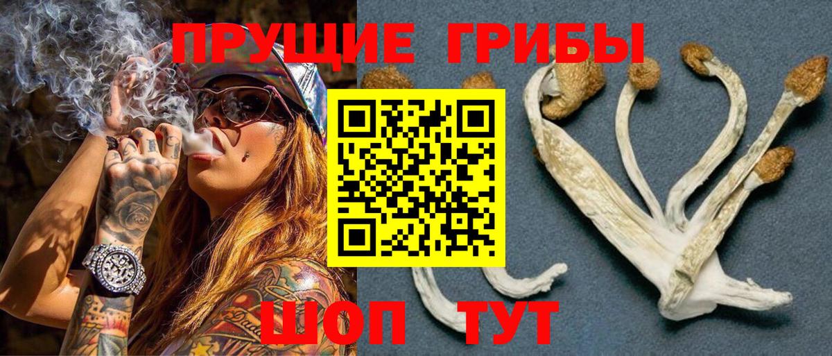 Псилоцибиновые грибы ЛСД Владимир