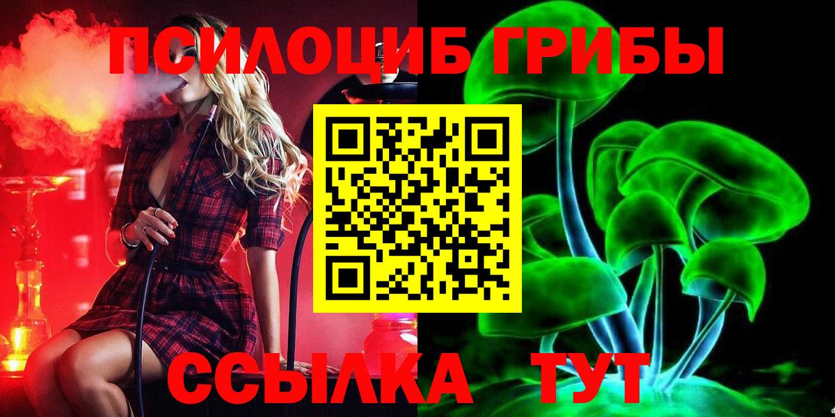 Владимир  Галлюциногенные грибы мухоморы  Вход с VPN  Галлюциногенные грибы прущие грибы 