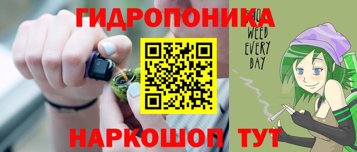 Бошки марихуана конопля Владимир