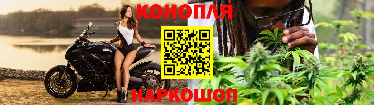 Бошки марихуана White Widow  Конопля конопля  Владимир  Конопля план  Вход с VPN 